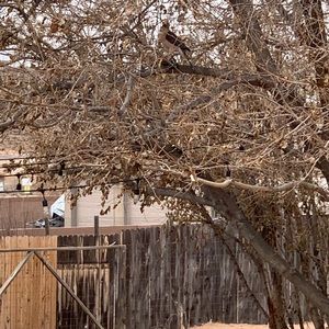 Meet your Posher, Gabriel